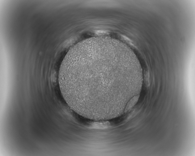 X0000084580571200703161743