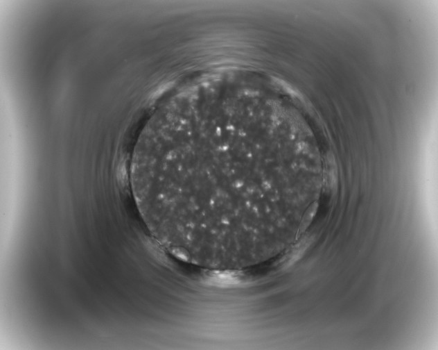 X0000084580573200703161743
