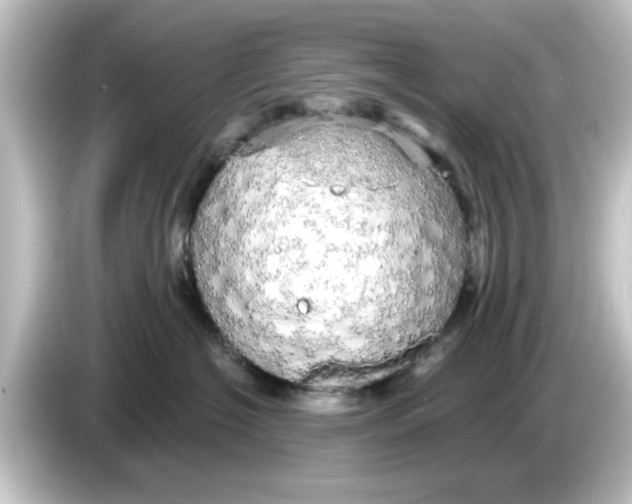 X0000084580574200703161743