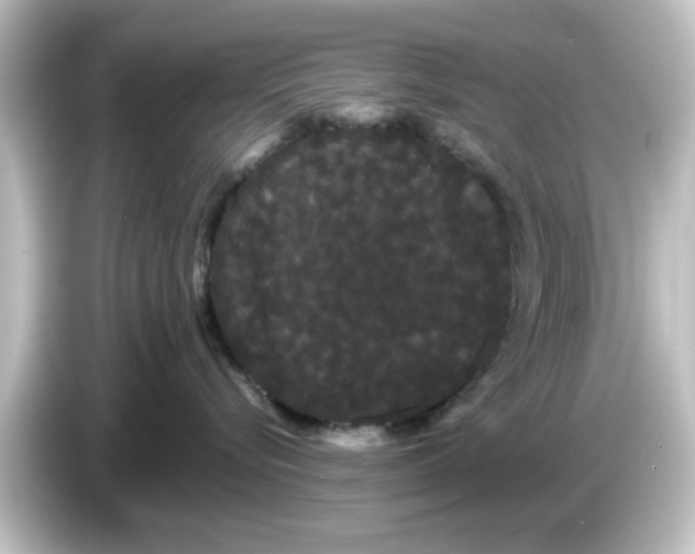 X0000084580576200703161743