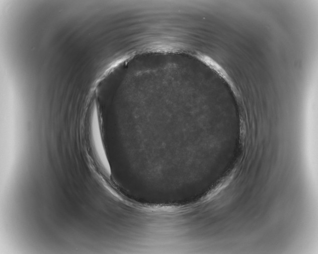 X0000084580581200703161742