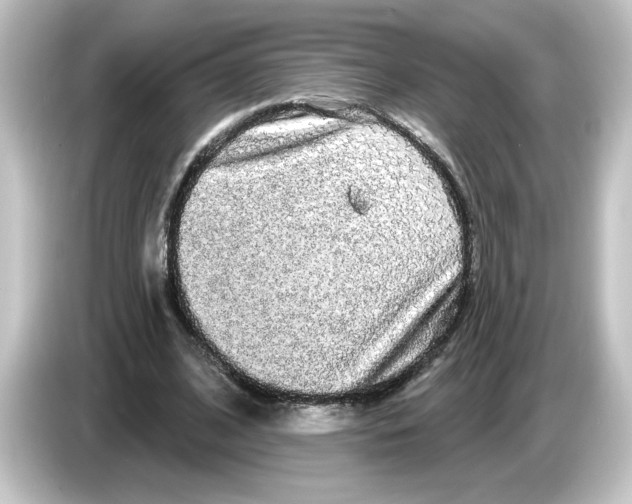 X0000084580584200703161742