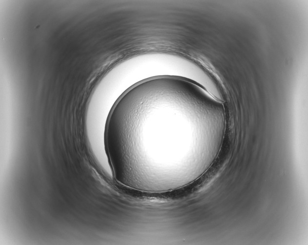 X0000084580585200703161742