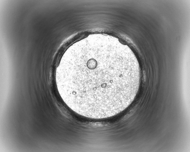 X0000084580588200703161742