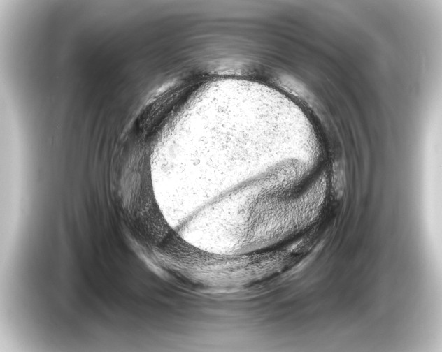 X0000084580589200703161742