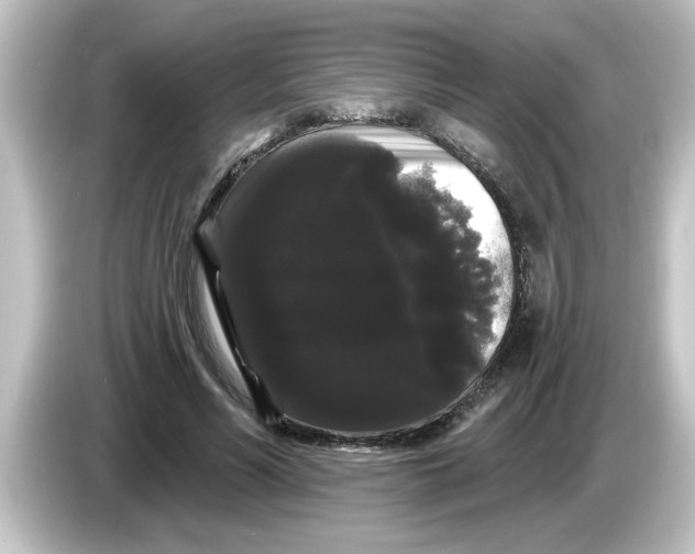 X0000084580590200703161742