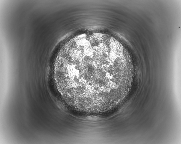 X0000084580591200703161742