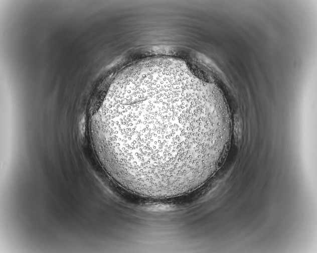 X0000084580593200703161742
