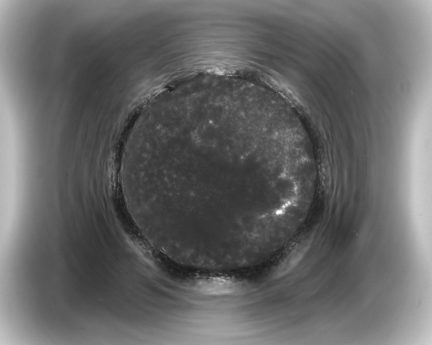 X0000084580594200703161742
