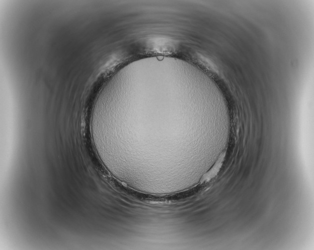 X0000084580595200703161742