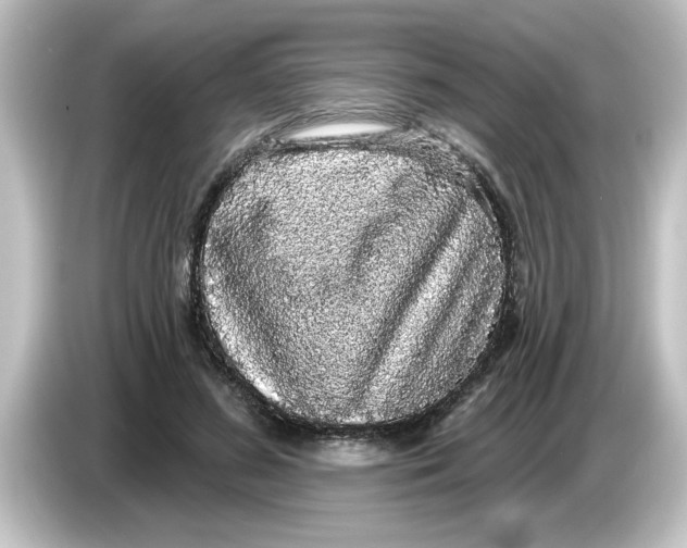 X0000084580596200703161742
