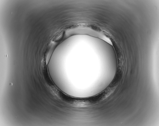 X0000084580597200703161742