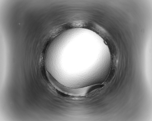 X0000084580601200703161742