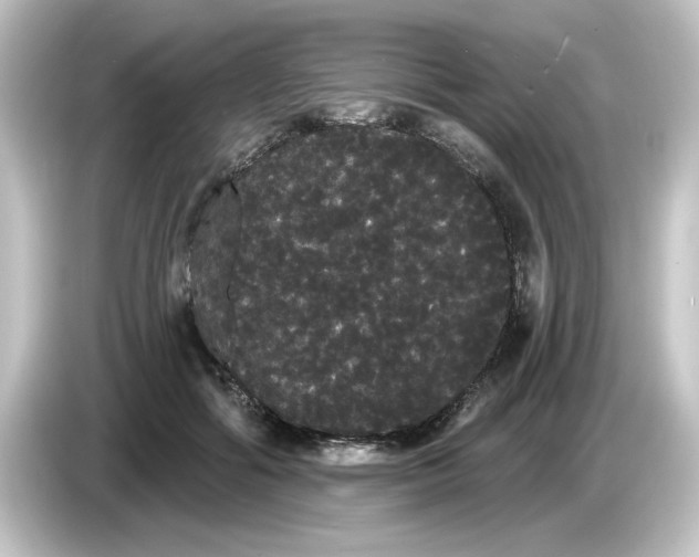X0000084580602200703161742