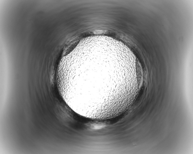 X0000084580604200703161742