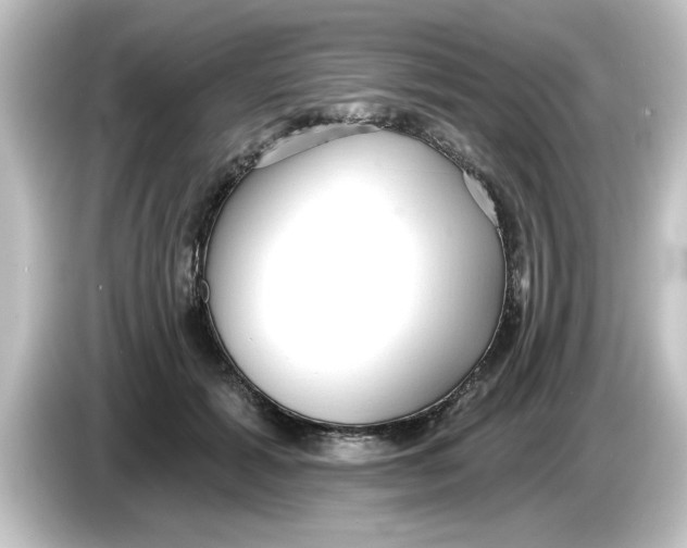 X0000084580605200703161742