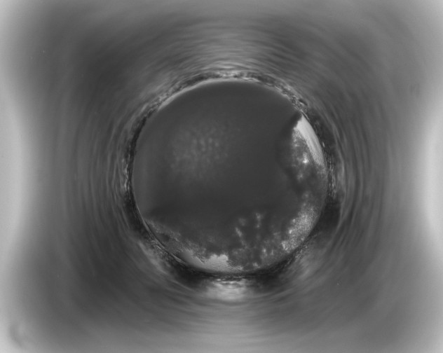 X0000084580606200703161742