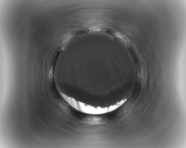 X0000084580610200703161742