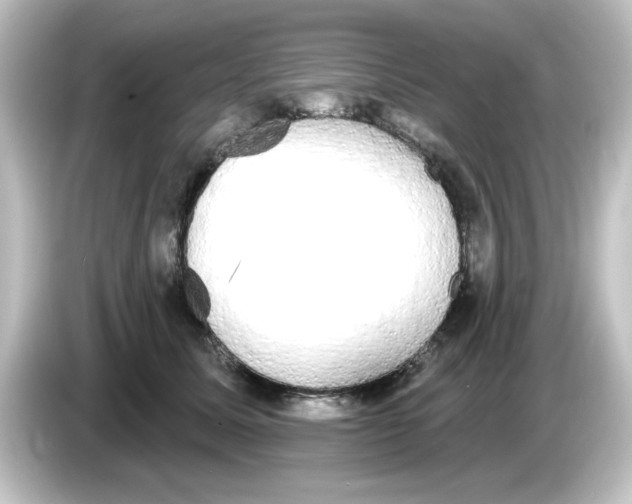 X0000084580611200703161742