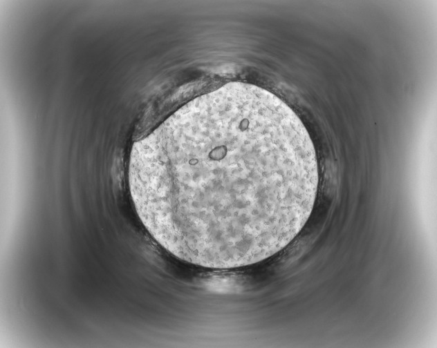 X0000084580612200703161742