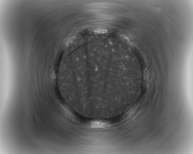 X0000084580614200703161742