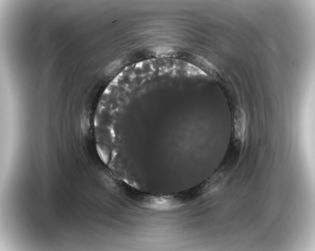 X0000084580618200703161742