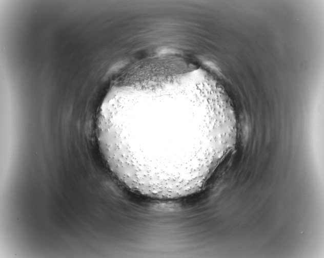 X0000084580619200703161742