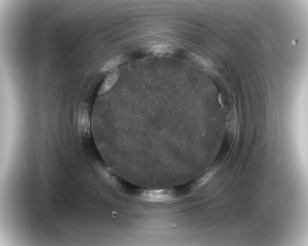 X0000084580622200703161742