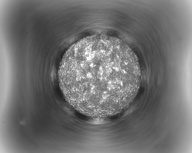 X0000084580623200703161742