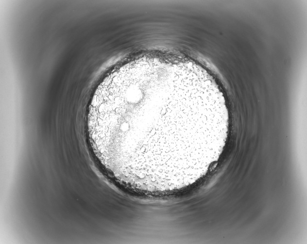 X0000084580625200703161741