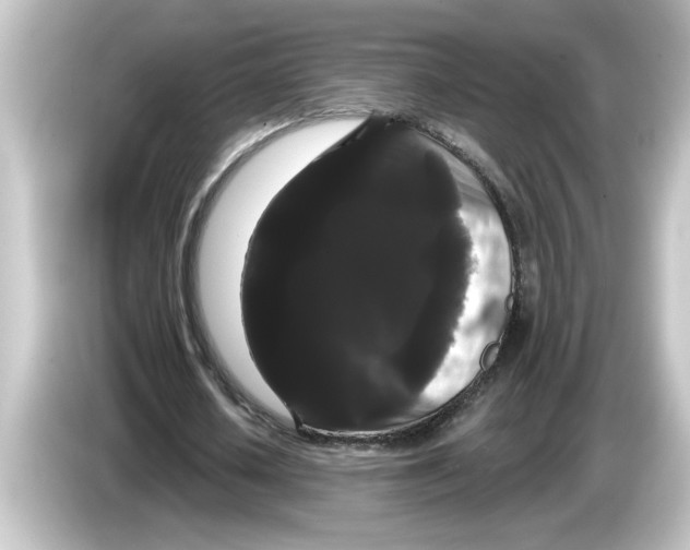 X0000084580626200703161741