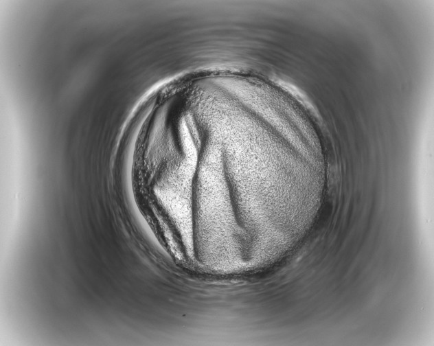 X0000084580628200703161741