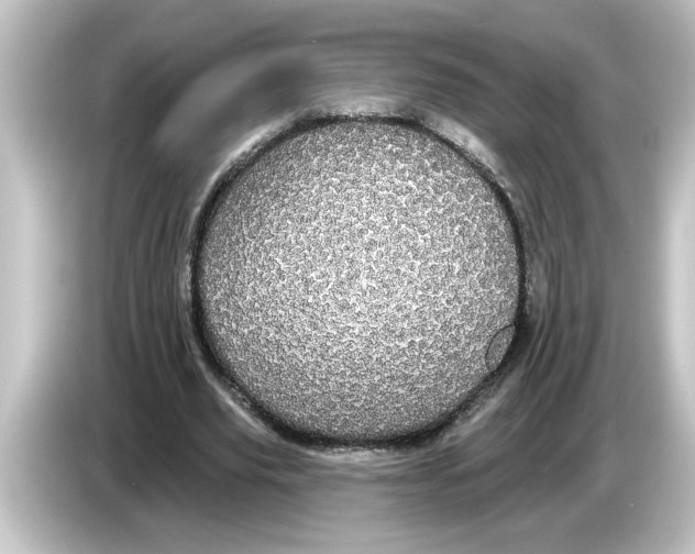 X0000084580629200703161741