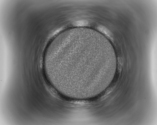 X0000084580631200703161741