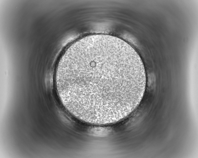X0000084580632200703161741