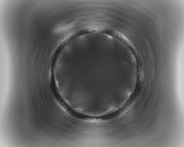 X0000084580637200703161741