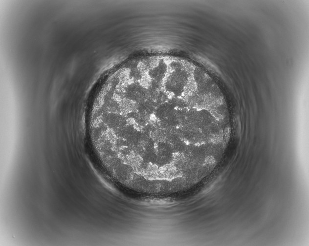 X0000084580638200703161741
