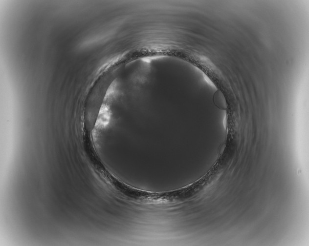X0000084580640200703161741