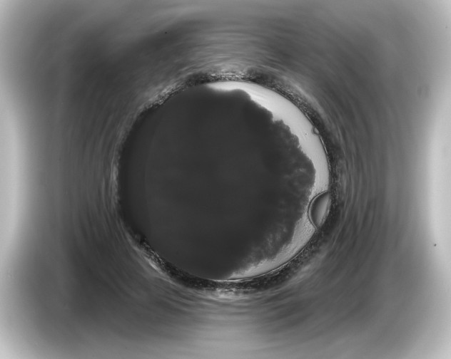 X0000084580641200703161741