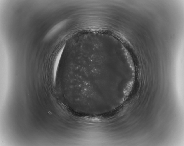 X0000084580643200703161741