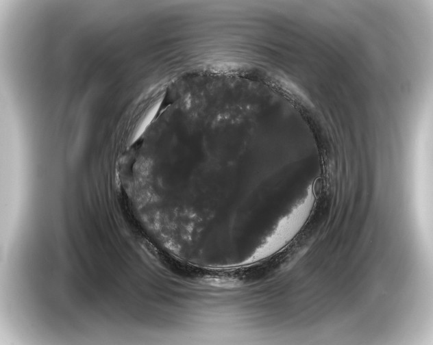X0000084580644200703161741