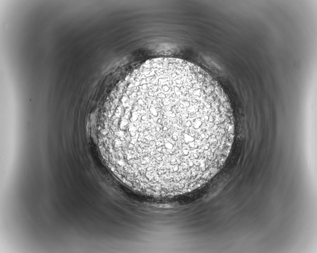 X0000084580646200703161741