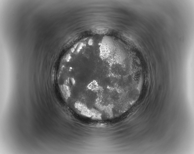 X0000084580647200703161741