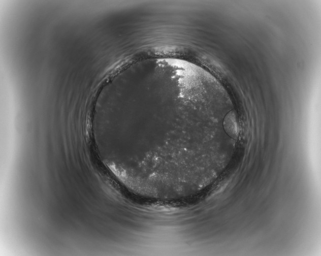 X0000084580648200703161741