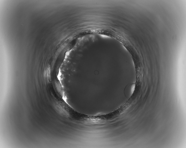 X0000084580650200703161741
