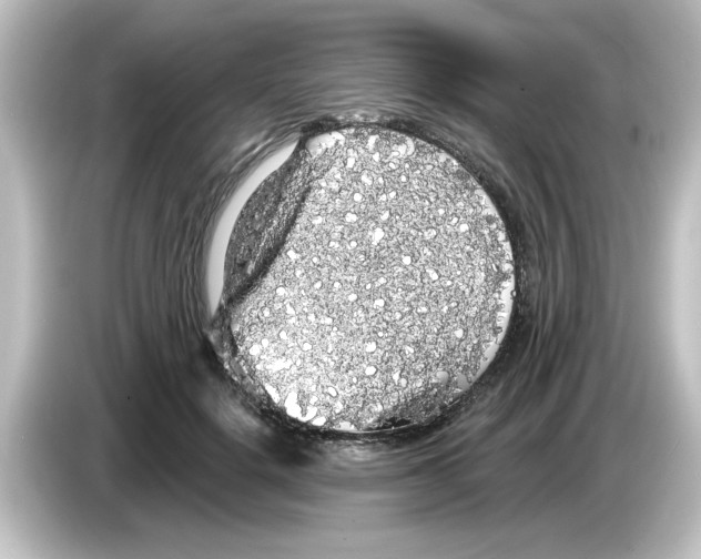 X0000084580652200703161742