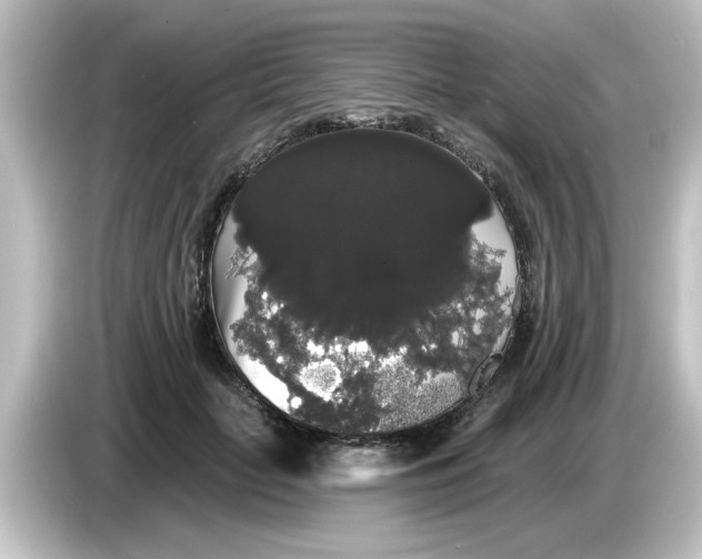 X0000084580653200703161742