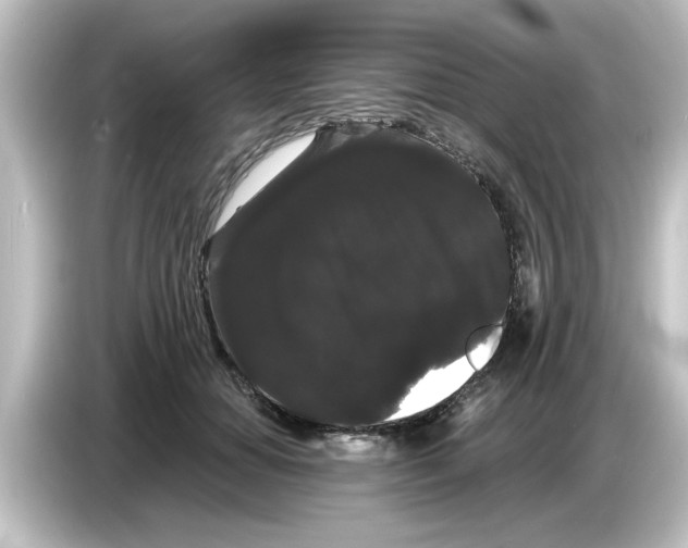 X0000084580654200703161742