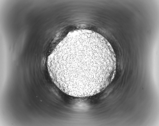 X0000084580660200703161742