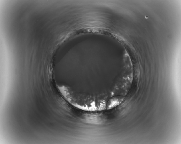 X0000084580661200703161742